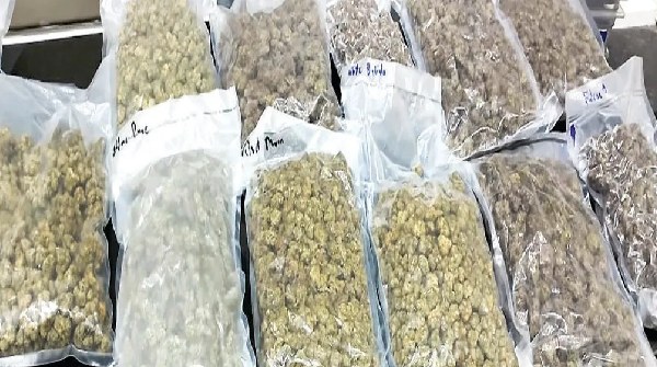 Drugs Marijuana