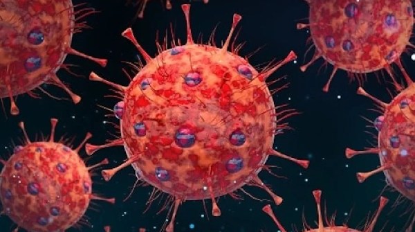 HMPV virus
