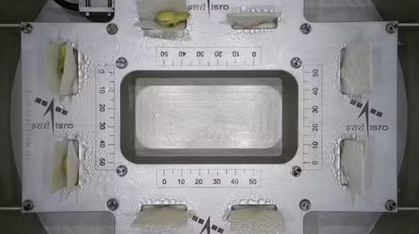 ISRO Sprouts Cowpea Seeds