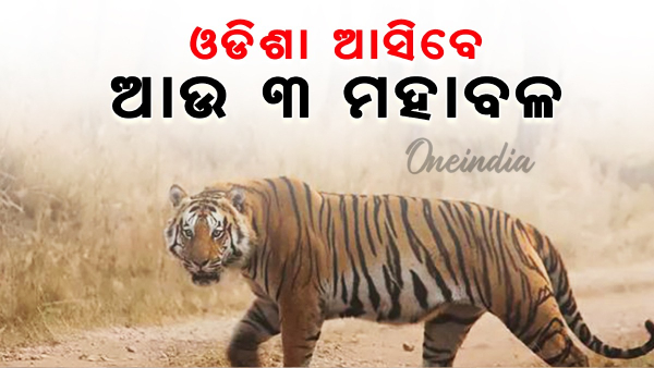 Odisha News