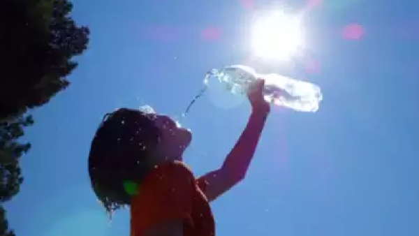 hottest year