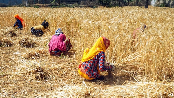 odisha news
