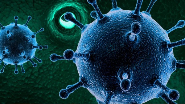 HMPV Virus