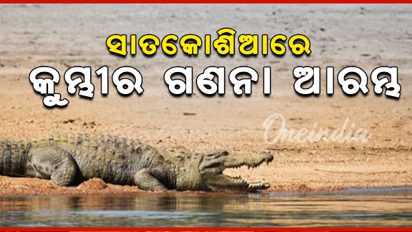 Satkosia