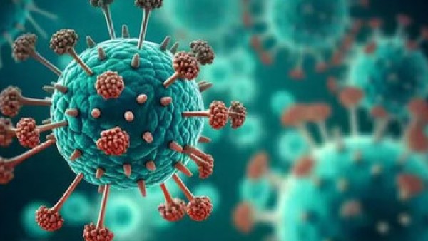 HMPV virus HMPV virus