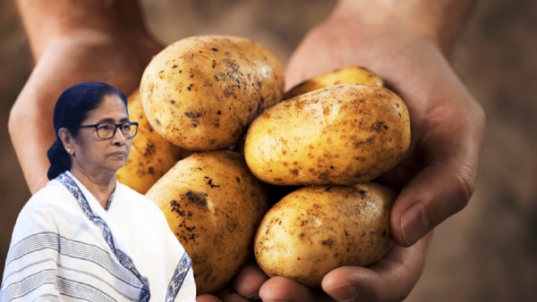 potatoes
