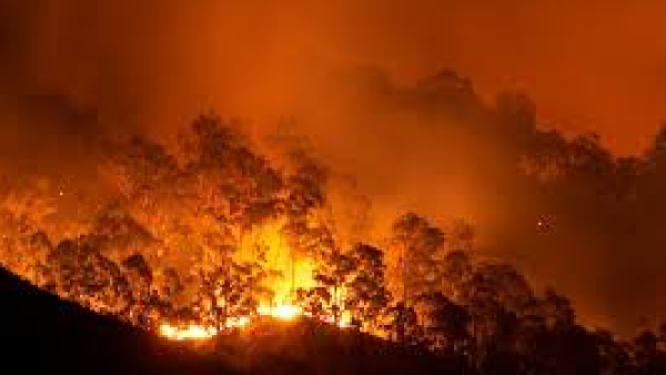 fire
