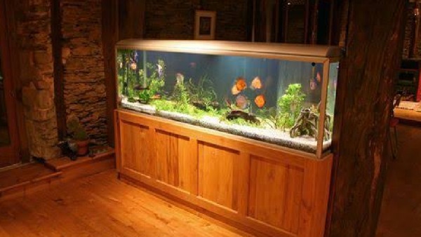 aquarium