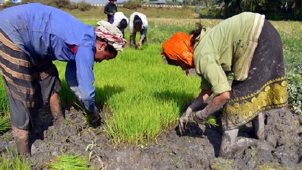 PM-KISAN Samman Nidhi Yojana
