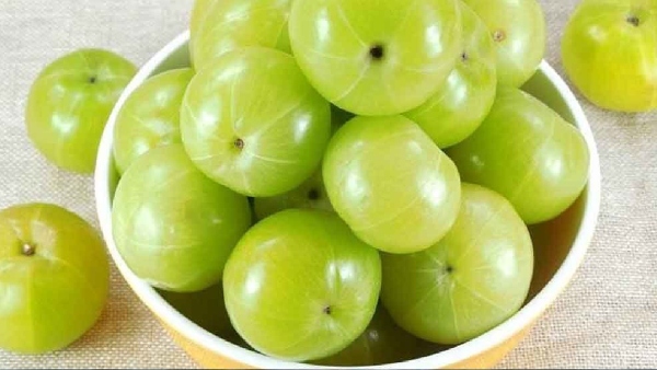 Diabetes Control Tips