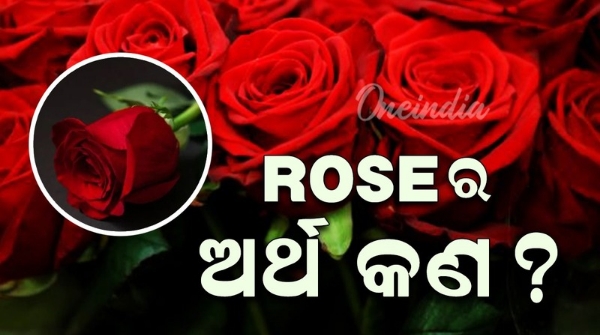 Valentine s Day 2025