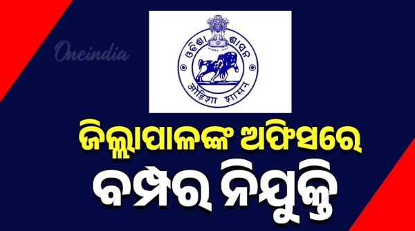Odisha Collector Office Job