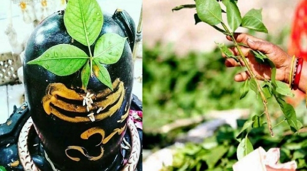 Mahashivratri 2025 Mahashivratri 2025