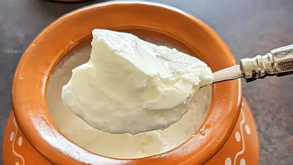 curd for health