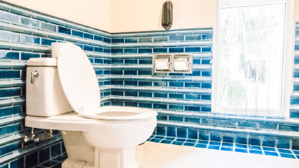 toilet toilet
