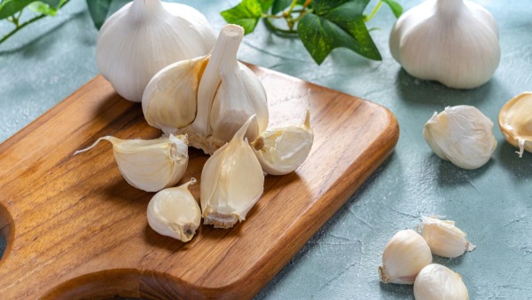garlic