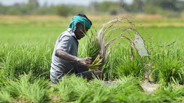 PM Kisan Samman Nidhi Yojana