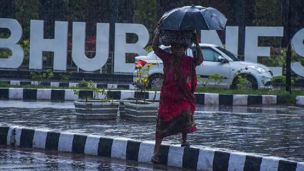rain