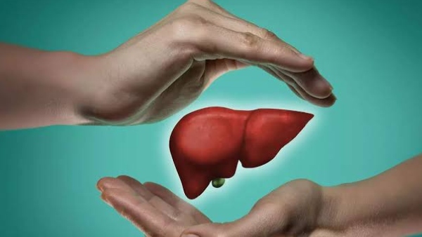 healthy liver