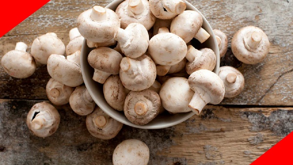 mushroom