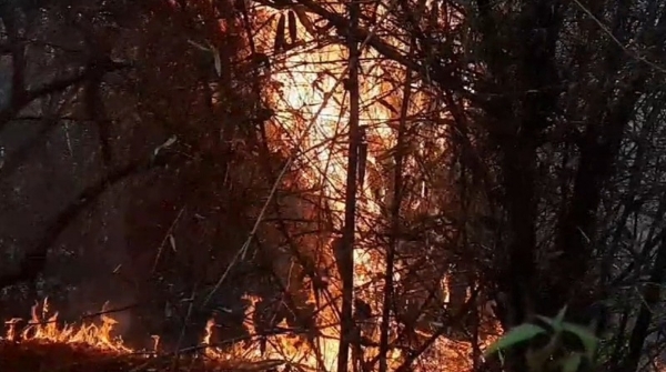 Meeting for forest fire control