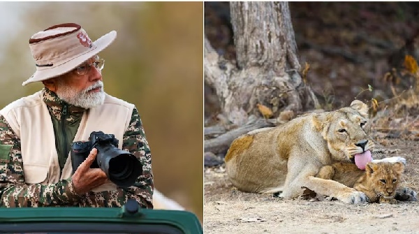 narendra modi