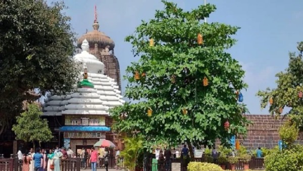 lingaraj temple