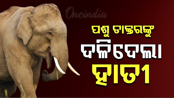 Odisha News