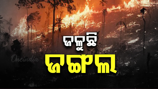 Forest fires in various districts Odisha