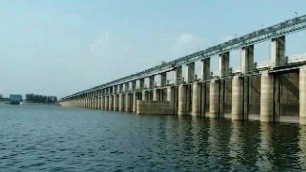 rabi nayak
