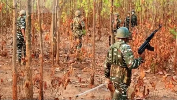 Mao Camp News