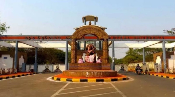 Summer vacation in universities colleges from today