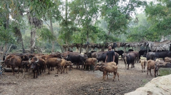 OLRDS letter to chilika buffalo conservation and promotion
