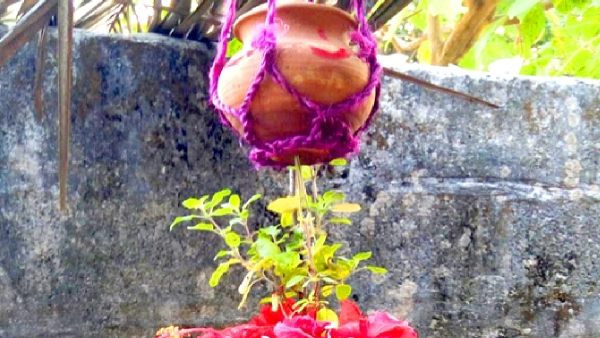 Panna Sankranti Panna Sankranti