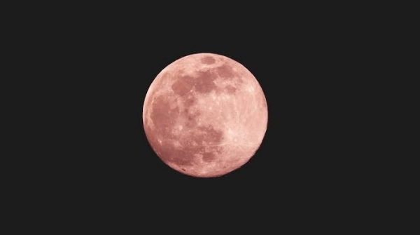 Pink Janh
