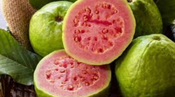 What are the benefits of guava for diabetics
