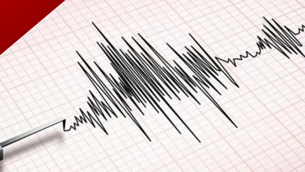 Earthquake shakes