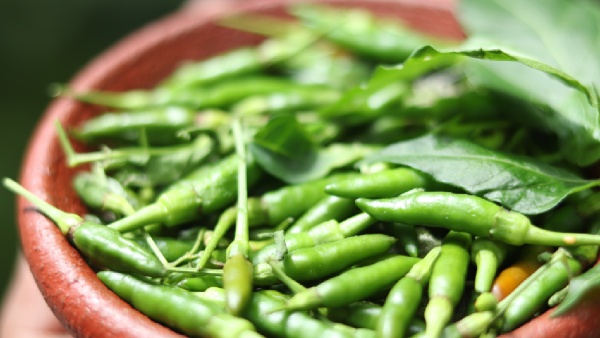 green chili