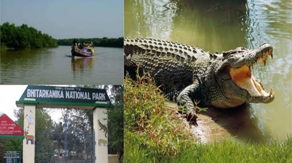 Bhitarkanika will be closed for tourists