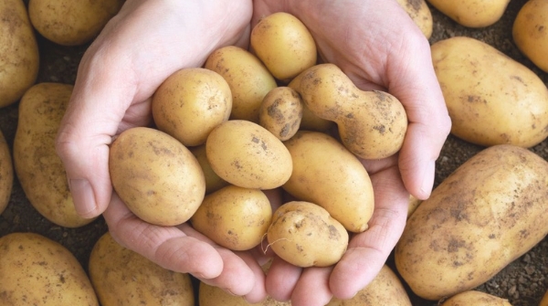 Potatoes solve 6 major problems