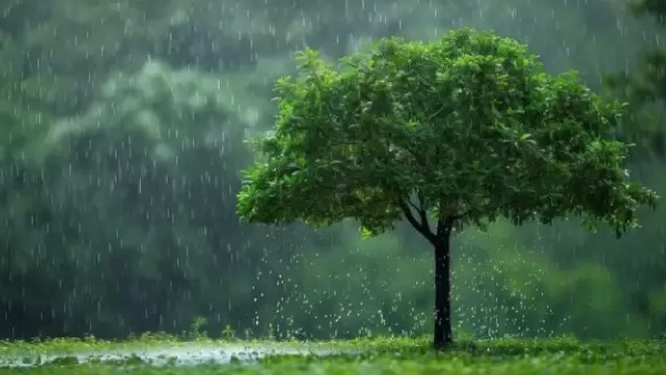 Monsoon