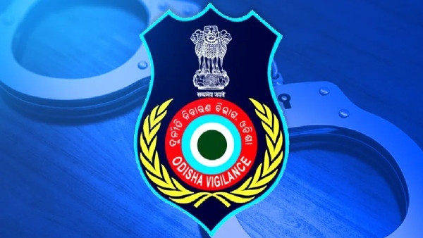 Vigilance raids