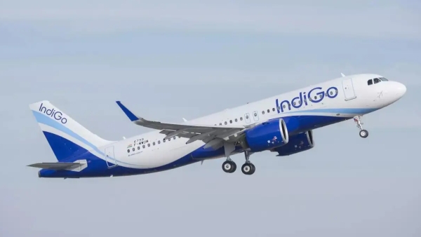 IndiGo