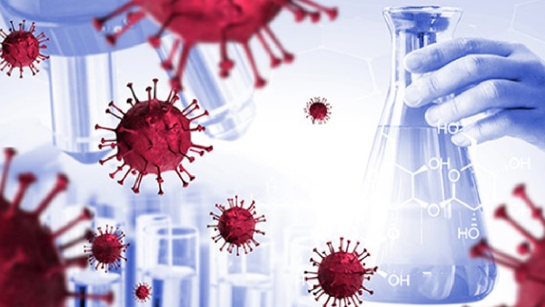 New virus