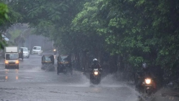 rain