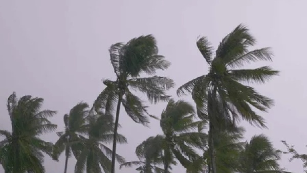 monsoon