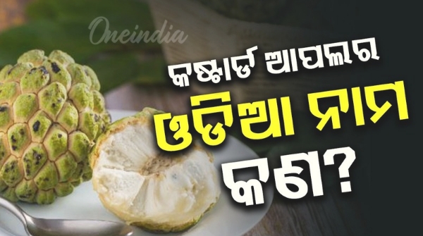custard apple