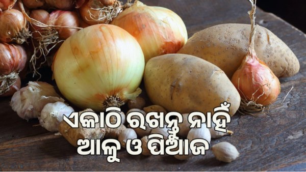potatoes
