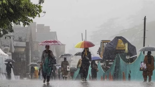 rain