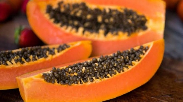 Eating papeya seeds provides relief from many diseases
